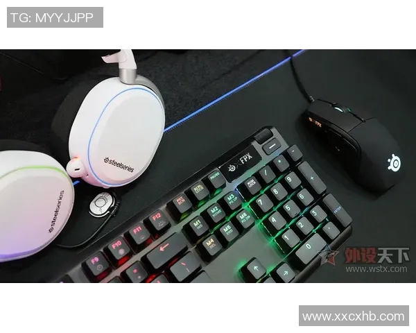 FPX在S15电竞总决赛冠军杯中的耐力表现分析与点评